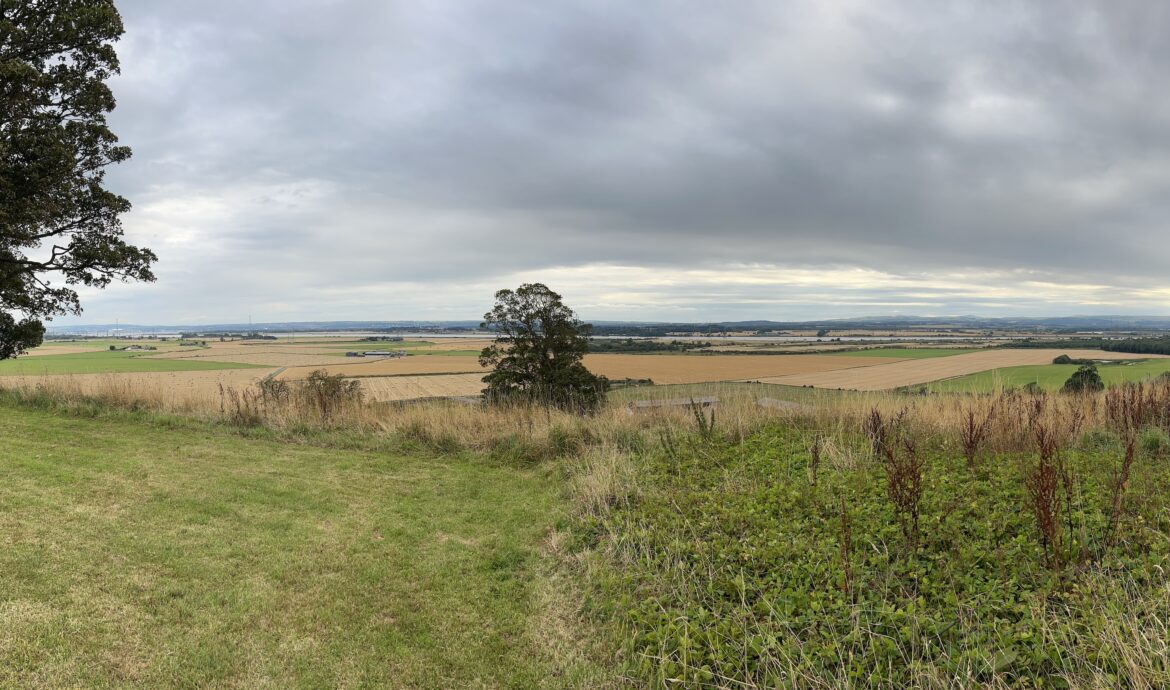 landschap