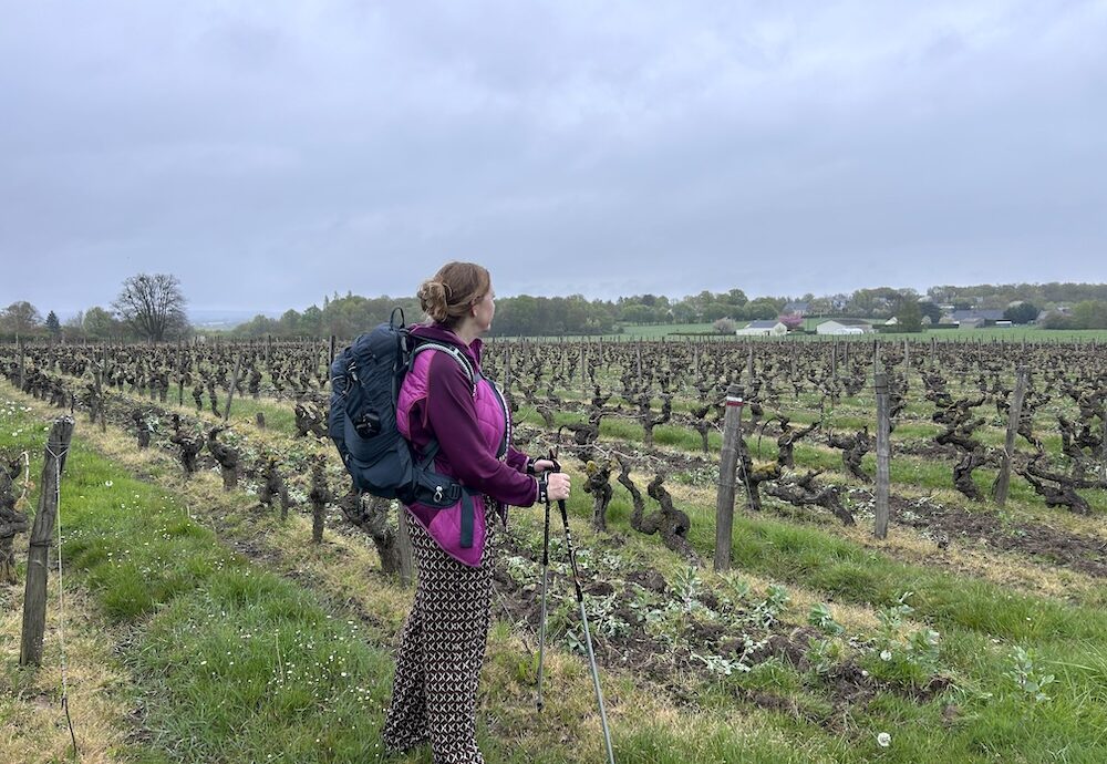 Margriet en wijngaard